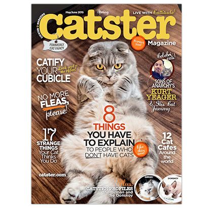 Catster Magazine Subscription Free Magazine Subscriptions, Pet Magazine, Cat Magazine, Fancy Dog, American Shorthair, Fancy Cats, Cat Stories, Cat Books, Scottish Fold