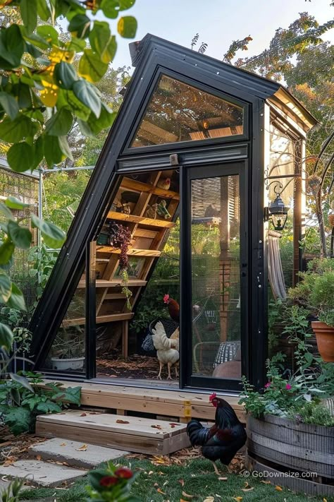 With its sleek black frames, warm wooden panels, and distinctive trapezoidal shape, it adds a touch of modern elegance to your outdoor space while providing a cozy home for your chickens. A Frame Garden, Dream Chicken Coop, Chicken House Ideas, Modern Chicken Coop, A Frame Chicken Coop, Greenhouse Home, Modern Greenhouses, Chicken Coop Garden, Backyard Poultry