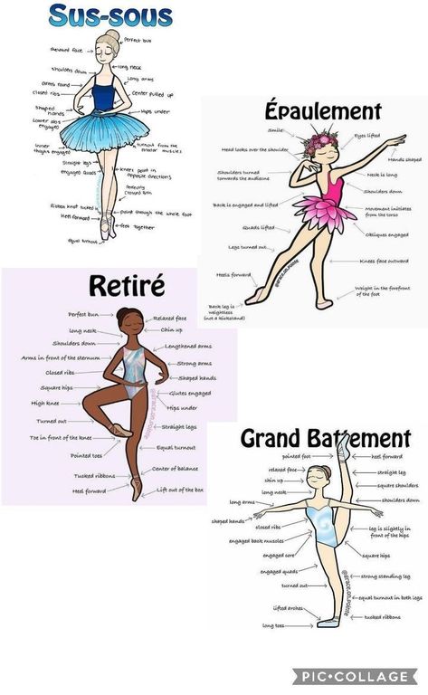 Ballet Steps, Ballet Terms, Ballet Basics, World Ballet Day, Beginner Ballet, Ballerina Workout, Ballet Positions, Ballet Lessons, Teach Dance