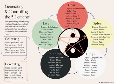 A Deeper Look at Grief from a Chinese Medicine Perspective | The Yinova Center Menstrual Cycle Phases, Taste Sense, 5 Elements, Find Color, John Green, Traditional Chinese Medicine, Dry Lips, Holistic Healing, Chinese Medicine