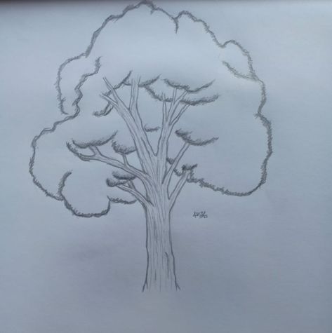 Tree Drawings Pencil Simple, Big Tree Drawing Easy, Easy Tree Sketch, Easy Tree Drawing Step By Step, Easy Forest Sketch, Easy Plant Sketches, Fallen Tree Drawing, Forest Tree Drawing, Tree Sketches Simple