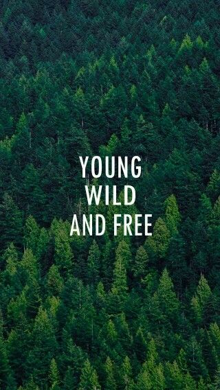 Young Wild And Free Wallpaper-Cute. Teen Wallpaper, Young Wild Free, Desktop Wallpaper Design, Whatsapp Wallpaper, Wallpaper Tumblr, Wallpaper Iphone Quotes, Sassy Quotes, Tumblr Wallpaper, Nature Quotes