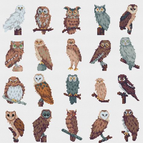 Tiny Cross Stitch Owls Set Mini Cross Stitch Set Small - Etsy Cross Stitch Owl, X Stitch, Tiny Cross Stitch, Tiny Cross, Cross Stitch Bird, Mini Cross, Mini Cross Stitch, Simple Cross Stitch, Owls