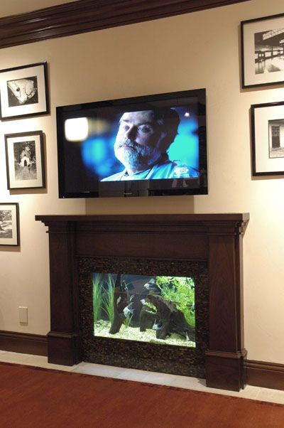 Aquarium Advice - Aquarium Forum Community - BEAUCASTLE's Album: Members FW Tanks - Picture Fish Tank Fireplace, Fireplace Fish Tank, Fish Tank In Tv Unit, Fireplace Aquarium, Tv Cabinet With Aquarium, Retro Tv Fish Tank, Tv Fishtank Fireplace Iñ Wall, Fireplace Feature Wall, Wall Aquarium