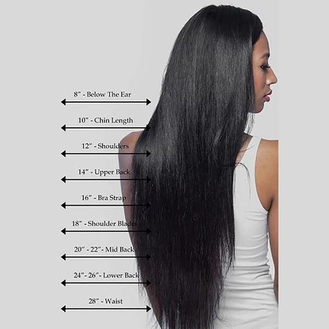 Bra Strap Length Hair, 20 Inch Hair, Low Porosity Hair Care, Hair Length Chart, Curly Lace Wig, Low Porosity Hair Products, Hair Png, Classic Hairstyles, Bra Strap