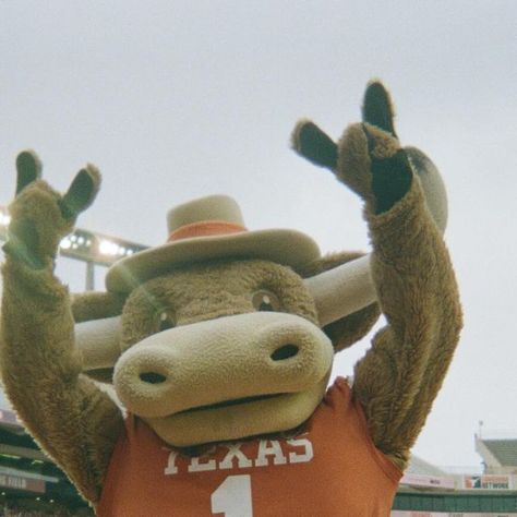 Texas Longhorns on Instagram: "film so nice we had to post twice 🤘  #HookEm" Texas Longhorns Wallpaper, Texas Longhorn Wallpaper, Texas Longhorns Aesthetic, Texas Longhorns Volleyball Wallpaper, Texas Longhorns Volleyball, Texas Longhorns Logo, Ut Longhorns, Ut Austin, Forty Niners