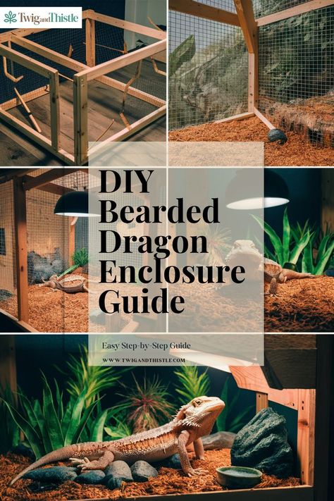 Bearded Dragon Enclosure Diy Bearded Dragon Cage, Bearded Dragon Enclosure Ideas, Chameleon Terrarium, Diy Bearded Dragon Enclosure, Bearded Dragon Terrarium Ideas, Lizard Terrarium, Bearded Dragon Diy, Diy Reptile, Dragon Project