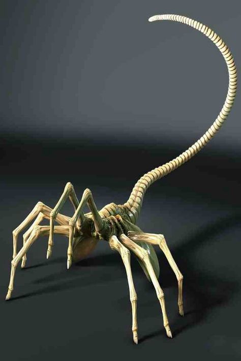 Face hugger Ella Character, Facehugger Tattoo, Face Hugger Alien, Xenomorph Facehugger, Facehugger Alien, Alien Facehugger, Face Hugger, Predator Alien Art, Alien Party