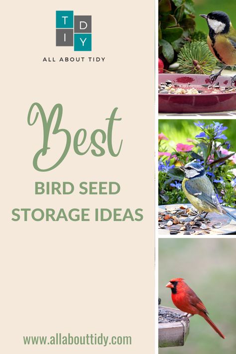 Best bird seed storage ideas Birdseed Storage Ideas, Bird Seed Storage Ideas, Bird Food Storage Ideas, Bird Seed Storage, Tidy Tips, Easy Bird, Seed Storage, Storage Tips, Diy Store