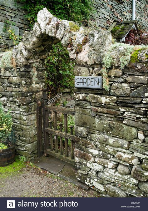 Download this stock image: Old slate drystone stone wall with archway over wooden gate into garden - EB2590 from Alamy's library of millions of high resolution stock photos, illustrations and vectors. Stone Walls Garden, Stone Archway, Stone Fence, Wooden Gate, Steins Gate, Dry Stone Wall, Stone Masonry, Stone Arch, Dry Stone