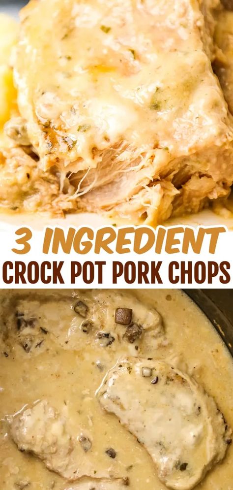 Fast Crockpot Recipes 3 Hours, Porkchops Crockpot Easy, Bone In Chops Crockpot, Porkchop Crockpot Recipes Healthy, Crockpot Recipes Porkchops, Pulled Pork Chops Slow Cooker, Crockpot Smothered Pork Chops Easy, Boneless Pork Chop Slow Cooker Recipes, Smothered Pork Chops Crock Pot Easy