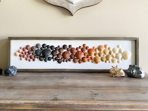 Seashell Collection Display, Displaying Seashells Ideas, Driftwood And Shells Crafts, Ways To Display Seashells, Shell Display Ideas, Seashell Artwork, Seashell Display, Shell Artwork, Seashell Art Diy