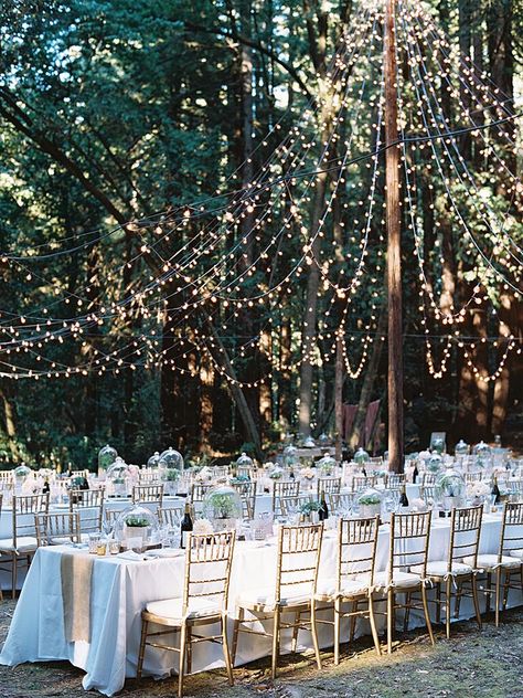 20 Ways to Transform Your Reception Space | TheKnot.com Diy String Lights, Outdoor Dinner, Wedding Tent, Outdoor Reception, Outdoor Wedding Decorations, Tent Wedding, Woodland Wedding, Wedding Cake Designs, Decor Minimalist