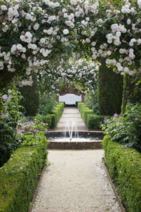 View towards fountain and white bench in the rose garden in June at Mottisfont Hampshire. Rosa 'Adélaïde d'Orléans' on the arches low box hedges. National Trust Images/Jonathan Buckley #gardenpathway #garden #pathway #forests Rose Garden Landscape, Best Roses, Walled Garden, Formal Gardens, Romantic Garden, Garden Pathway, White Gardens, National Trust, Country Gardening