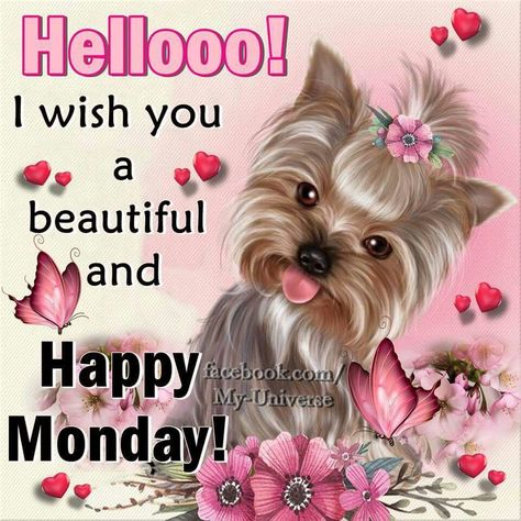 Hellooo! I Wish You A Beautiful And Happy Monday monday monday quotes happy… Happy Monday Gif, Happy Wednesday Pictures, Happy Monday Images, Monday Greetings, Monday Wishes, Monday Pictures, Happy Monday Quotes, Happy Monday Morning, Monday Images