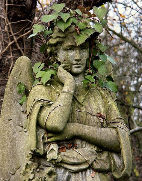 Highgate Cemetery, London, England..-This angel has stood guard for so long she now has a vine crown of greenery that suits her very well. Devine! Cemetery Angels, Highgate Cemetery, Cemetery Statues, Angel Statue, Angel Sculpture, Old Cemeteries, Cemetery Art, Ange Demon, Angels Among Us