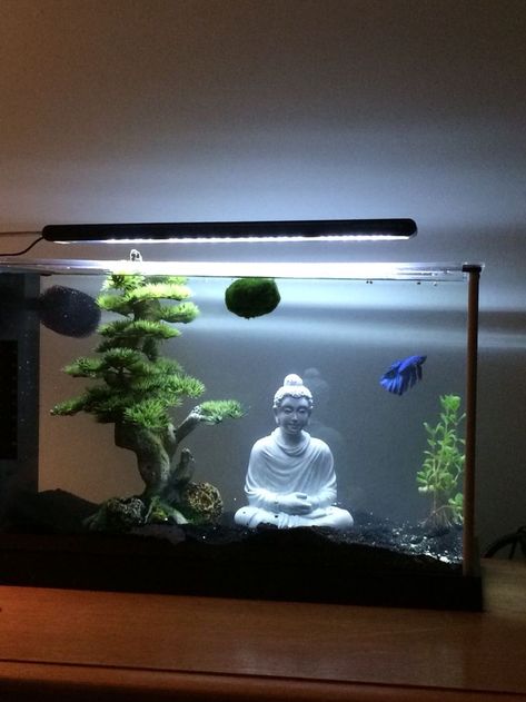 Animal Therapy, Fish Tank Themes, Fish Tank Terrarium, Amazing Aquariums, Cool Fish Tanks, Fish Tank Design, Betta Aquarium, Aquarium Terrarium, Diy Aquarium