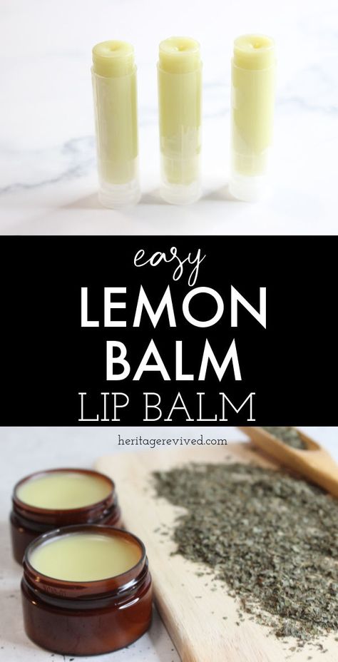 Image of lip balm and lemon balm herbs with text "easy lemon balm lip balm" Dried Lemon Balm, Easy Lip Balm, Lemon Balm Recipes, Homemade Lip Balm Recipe, Lip Balm Recipe, Recipe With Lemon, Diy Lip Balm Recipes, Balm Recipe, Herbal Medicine Recipes