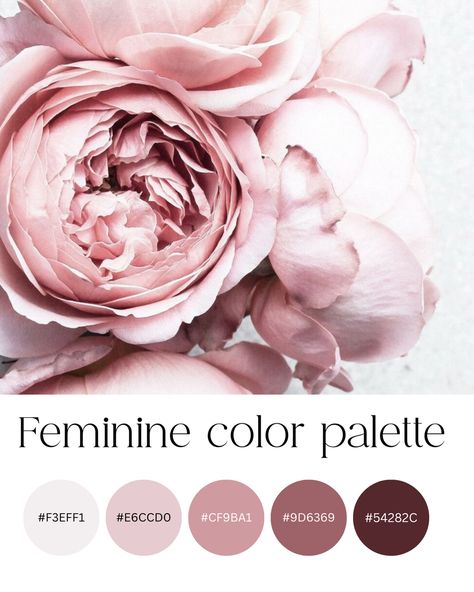 Blush Pink And Mauve Color Palette, Peonies Color Palette, Feminine Color Pallete, Rose Garden Color Palette, Feminine Color Scheme, Peony Color Palette, Feminine Branding Logo Color Palettes, Coquette Color Palette, Pink Branding Color Palette