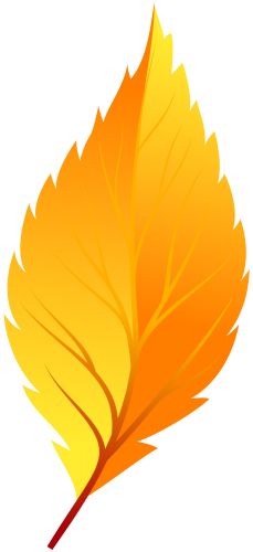 Silhouette Drawings, Fall Leaf Template, Fall Leaves Png, Fall Leaf Decor, Leaf Png, Autumn Leaves Craft, Fall Clip Art, Yellow Autumn, Yellow Leaf