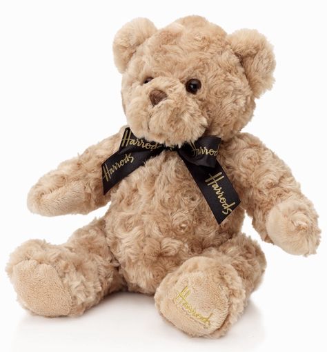 Harrods Teddy Bear 🐻 Harrods Teddy Bear, Harrods Bear, New Best Friend, Love Bear, Cute Teddy Bears, Childrens Crafts, Plush Animals, Kids Education, Toys Shop