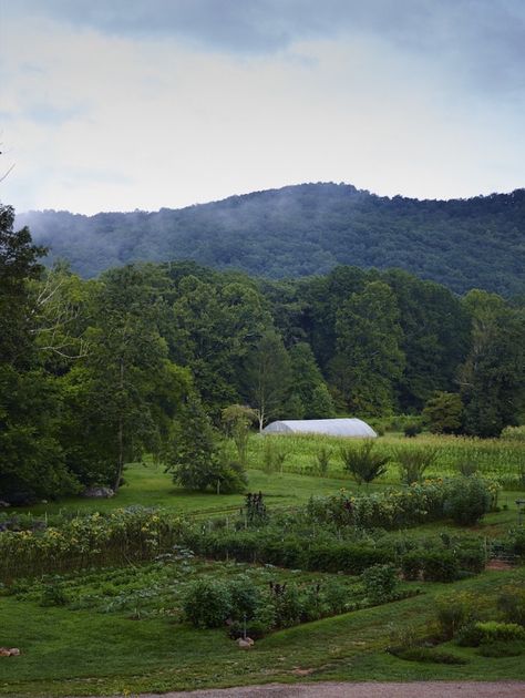 Blackberry Farm Tennessee, Tennessee Farm, Blackberry Farm, Garden Goals, Mountain Farm, Blackberry Farms, Working Farm, Dream Farm, Future Garden