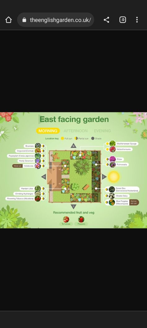 East Facing Garden Ideas, East Facing Garden Design, East Facing Garden, Hardy Geranium, Climbing Hydrangea, Garden Design Layout, Sweet Box, Fruit And Veg, Geraniums