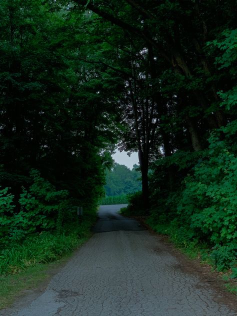 #michigan #twilight #rain #rainyday #rainaesthetic #twilighaesthetic #forest #aesthetic Michigan Forest, Forest Aesthetic, Pretty Landscapes, Gloomy Day, + Core + Aesthetic, Pics Art, Nature Aesthetic, Rainy Days, Green Eyes