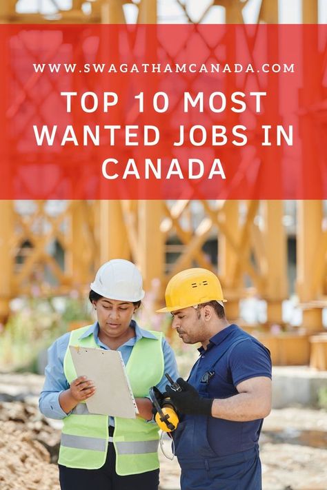 The restaurant industry in Ontario is thriving, as are the trades and agriculture, but healthcare remains the most in-demand sector in the province as the year comes to a close. This article describes, the list of the top 10 most wanted jobs in Canada. Jobs In Canada, Immigration Canada, Canada Immigration, Easy Money Online, Ottawa Canada, The Great White, Side Jobs, Design Jobs, Most Wanted