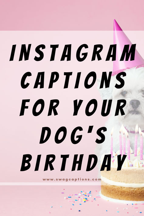 Celebrate your furry friend's special day with these adorable Dog's Birthday Instagram Captions. From wagging tails to treats and cake, let's capture the moments that truly matter. 🍰🐾 Birthday Wishes For Dog Pets Quotes, Dog Birthday Sayings, Pet Birthday Captions, Happy Birthday To Dog Quotes, Dog Bday Captions, Happy Birthday Dog Insta Story, Gotcha Day Quotes Dog, Dog Birthday Post Instagram, Happy Gotcha Day Dog Quotes