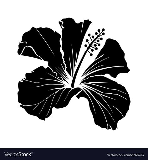 Hibiscus Flower Silhouette, Rose Black And White, Flower Symbol, Yellow Hibiscus, Hawaiian Hibiscus, Flower Silhouette, Laser Engraved Ideas, Line Art Vector, Vector Flowers