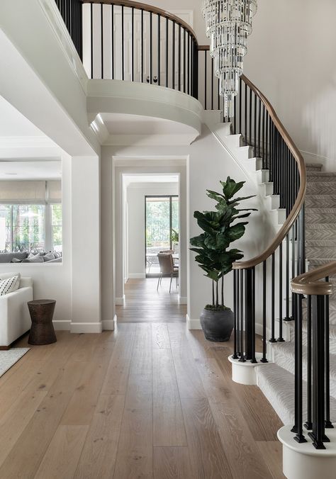 House With Two Staircases, Foyer Design Staircase, Curved Staircase Railing Ideas, Entrance To Stairs, European Style Staircase, Entry With Curved Staircase, Transitional Home Staircase, Dark Railing Light Floor, Rounded Stairs Entryway