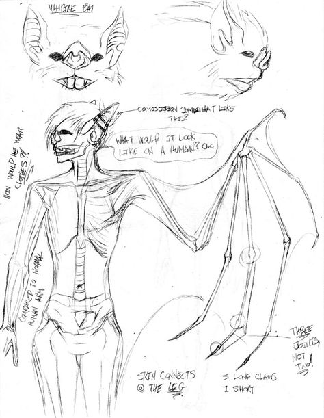 Bat Ocs Human, Bat Anatomy Drawing, Bat Fursona Reference Sheet, Vampire Spidersona, Bat Wings On Human, Bat Fursona Base, Bat Hybrid Human, Bats Anatomy, Bat Person Character Design