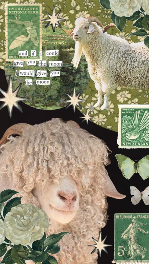 #sheep #green #shuffle #shuffleinspo #animals #aestheticboard Sheep Astethic, Green Shuffle, Sheep Wallpaper, Everglades National Park, Quotes Wallpapers, Wallpaper Quotes, Connect With People, Your Aesthetic, Creative Energy