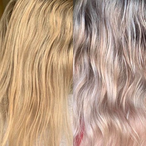 Blue Shampoo for Orange Roots Before-After Picture Bad Bleached Hair, Bleach Bath Hair, Orange To Blonde Hair, Bleaching Hair, Blue Shampoo, Warm Hair Color, Brassy Hair, Color Depositing Shampoo, Mom Hair