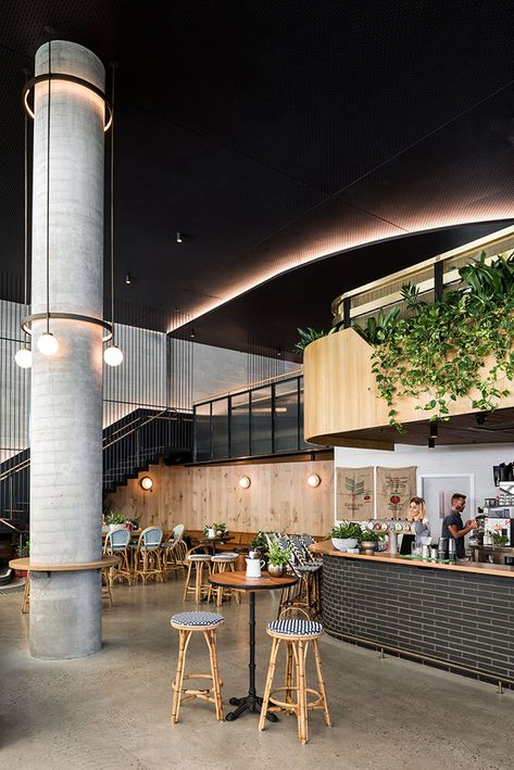 Woods Bagot designs 'eclectic spaces and sinuous organic forms' for Market Grounds Perth - Australian Design Review Outdoor Column Design, Column Design Interior, Column Decor, Column Cladding, Eclectic Spaces, Contemporary Restaurant, Woods Bagot, Column Lighting, Round Column