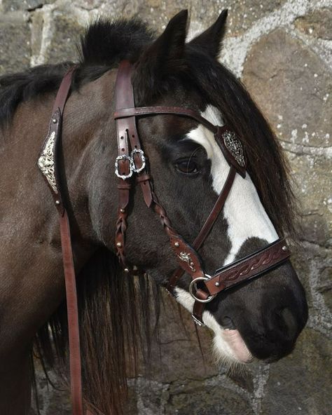 Leather Horse Tack, Medieval Horse, Bitless Bridle, Horse Costumes, Horse Armor, Horse Bridle, Horse Equipment, Horse Gear, Horse Face