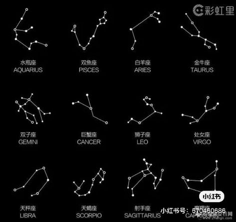 Zodiac Constellations, Constellations, Zodiac Signs, Embroidery, Tattoos, ? Logo, Signs