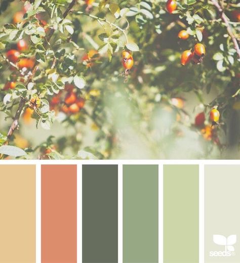 Apartment Color Schemes, Living Room Orange, Color Schemes Colour Palettes, Green Colour Palette, Room Color Schemes, Orange Design, Design Seeds, Color Palette Design, Trik Fotografi