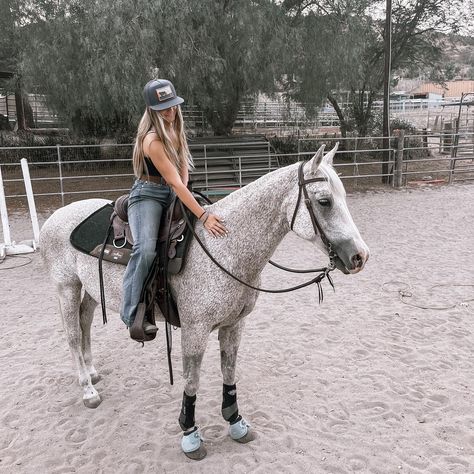 Flea Bitten Horse, Flea Bitten Grey Horse, Aesthetic Horses, Dream Horse Barns, Cowgirl Pictures, American Paint Horse, Horse Western, Western Horse Tack, Dream Horse