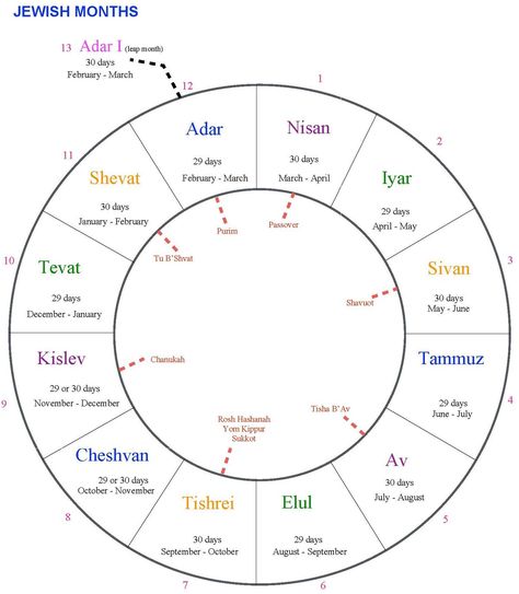 Hebrew Months Jewish Calendar, Jewish Calendar 2023, Jewish Astrology, Biblical Timeline, Hebrew Holidays, Hebrew Calendar, Hebrew Months, Ashkenazi Jews, What Year Is It