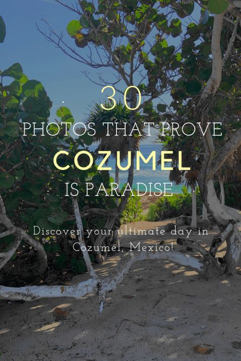 Plan the Perfect 1 Day in Cozumel, Mexico ~ Maps & Merlot Cozumel Cruise, Mexico Itinerary, Cruise Life, Cancun Trip, Road Maps, Mexico Map, Mexico Travel Guides, Travel Mexico, Cozumel Mexico