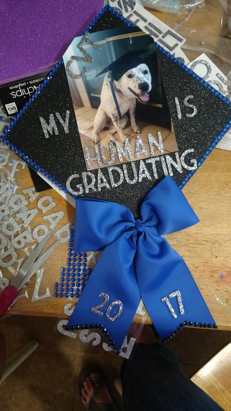 Graduation caps #vettech #blueheeler Vet Tech Cap Ideas, Graduation Cap Designs Vet Tech, Vet Med Graduation Cap, Vet Tech Graduation Cap Ideas, Cheer Graduation Cap, Vet Tech Graduation Cap, Disney Graduation Cap, Funny Graduation Caps, College Grad Cap Ideas