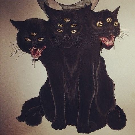 3 headed cat. Kitty Tattoos, Evil Cat, Black Cat Tattoos, Creepy Cat, Psy Art, Black Cat Art, Art Ancien, Desenho Tattoo, Creepy Art