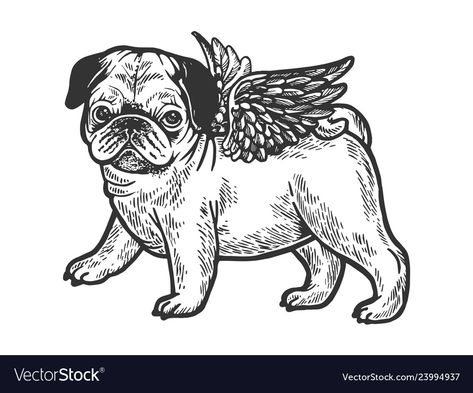 Black And White Pug, Flying Pug, Pug Dog Puppy, Pug Breed, Pug Cartoon, Pug Tattoo, Angel Flying, Pet Pug, Puppy Sketch