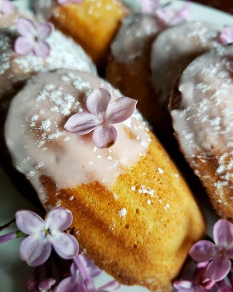 Wisteria Recipes, Lilac Food, Lilac Recipes, Lilac Honey Recipe, Lilac Flower Recipes, Lilac Herbal Recipes, Lilac Edible, Madeline Cookies Recipe, Madelines Recipe