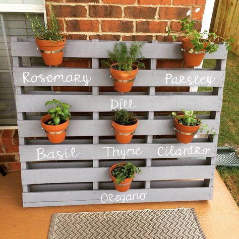 Pallet herb garden Townhome Patio, Shade Perennial Garden, Pallet Herb Garden, Mum Garden, Herb Garden Pallet, Outdoor Pallet Projects, Herb Garden Pots, Pallet Projects Garden, Outdoor Herb Garden