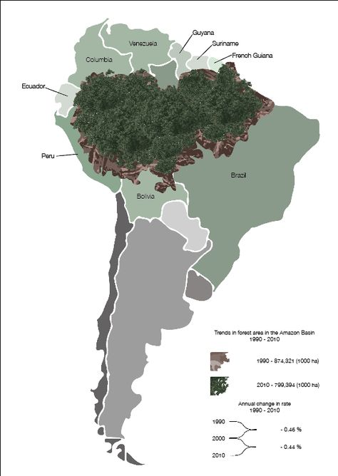 Data visualisation for the decrease of the Amazon rainforest between 1990 - 2010 Amazon Rainforest Map, Rainforest Map, Pastel Map, Deep Facts, Amazon Forest, The Amazon Rainforest, Data Visualisation, Amazon Rainforest, Human History