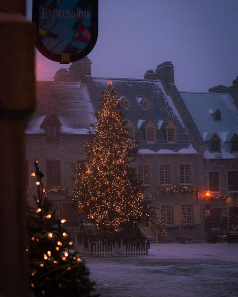 🎄Discovering the magic of Old Quebec. ✨ It is truly one of Canada’s most beautiful destinations during the Christmas season. A 4.5 hour… | Instagram Christmas Magic Aesthetic, Midwest Christmas, Christmas In Canada, Christmas Canada, Christmas Core, Winter Moodboard, Christmas Lockscreen, Christmas Nostalgia, Canada Christmas