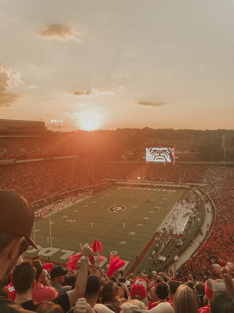 Uga Football Aesthetic, Georgia Football Aesthetic, Uga College Aesthetic, University Of Georgia Aesthetic, Uga Aesthetic, Dawgs Football, Bulldog Wallpaper, College Goals, Football Couples